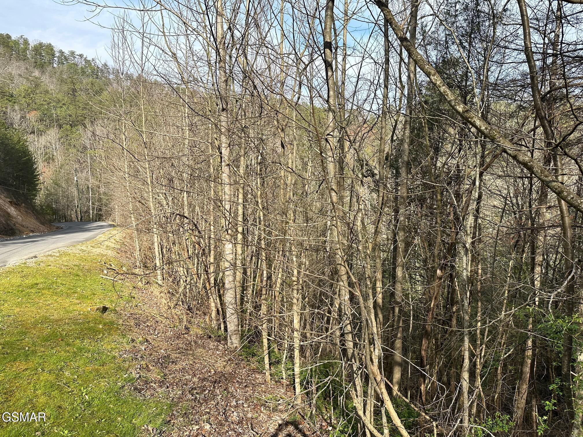 1423 Mountain Dreams Way Sevierville TN 37862