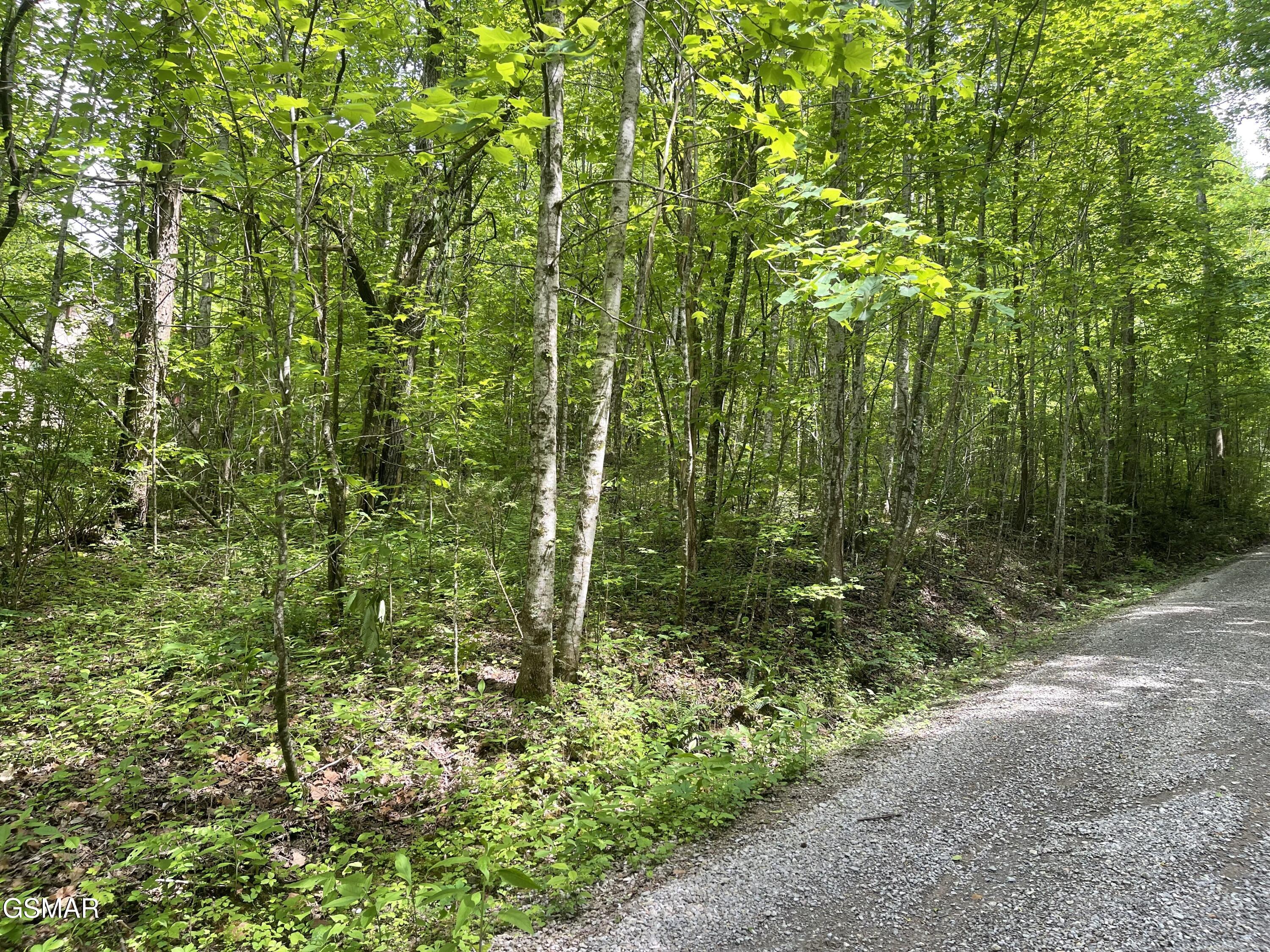 Lot 4 Walden Flats Way Sevierville TN 37862