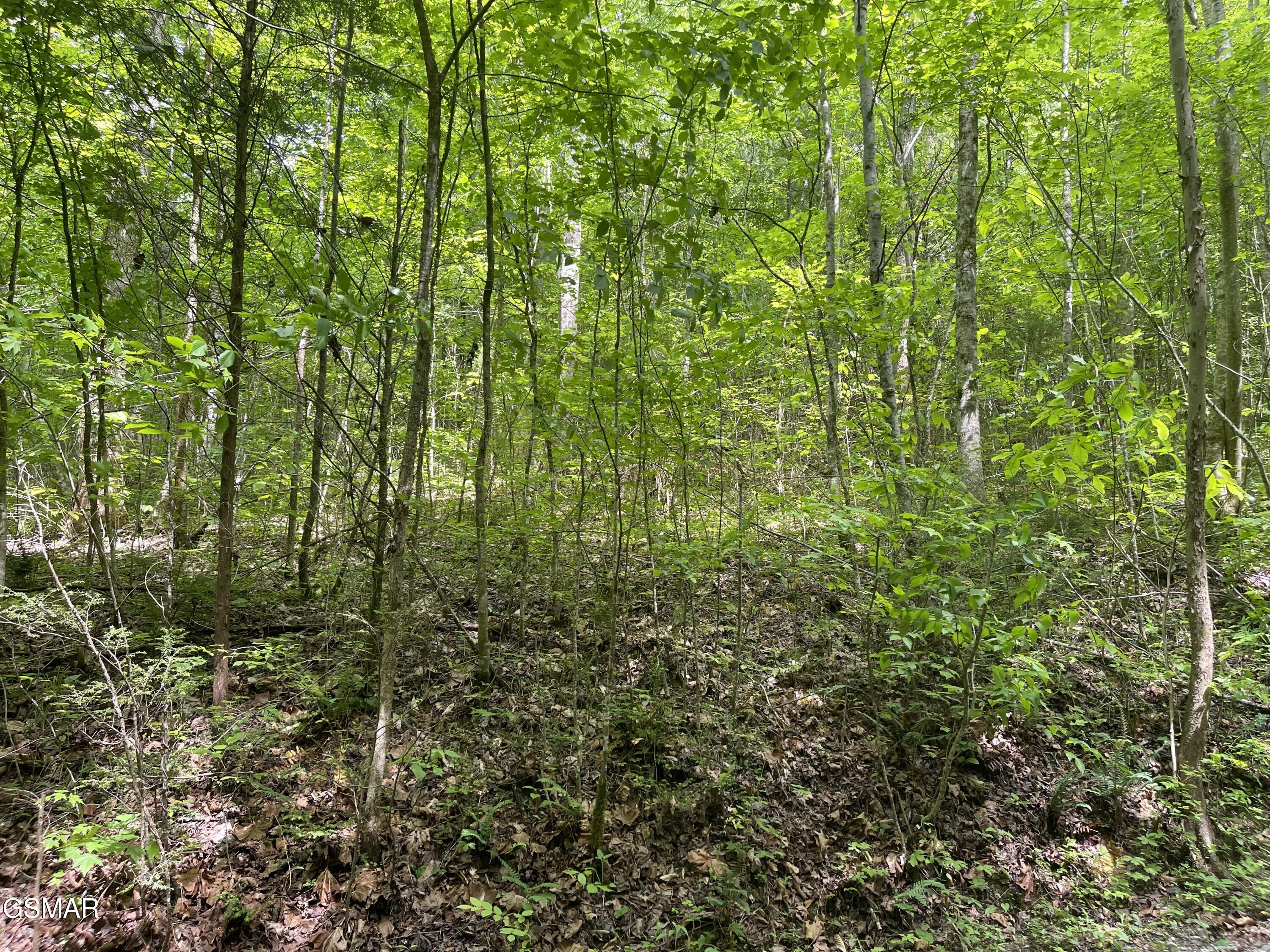 Lot 4 Walden Flats Way Sevierville TN 37862