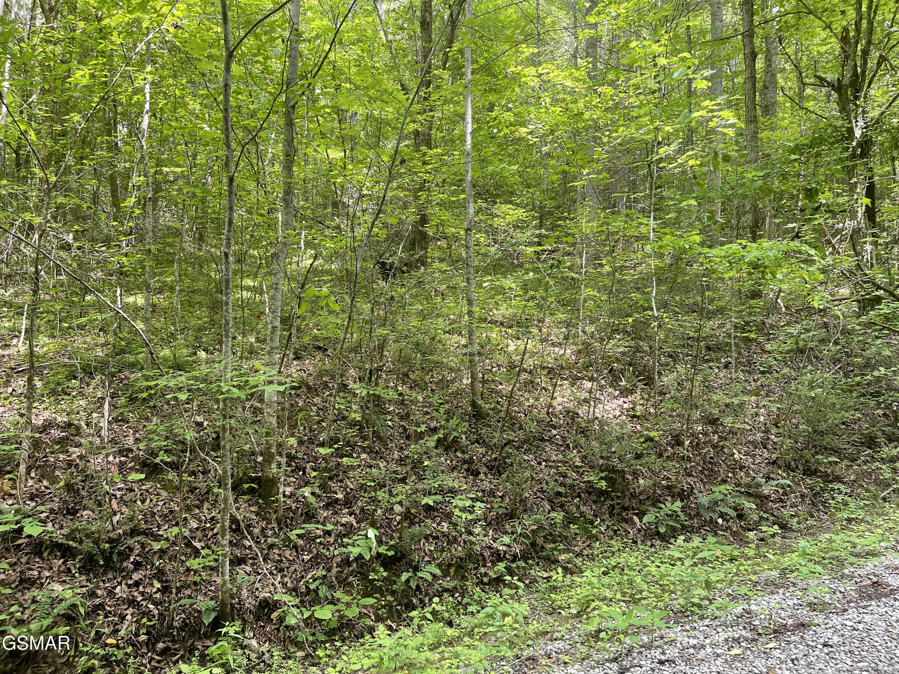 Lot 4 Walden Flats Way Sevierville TN 37862