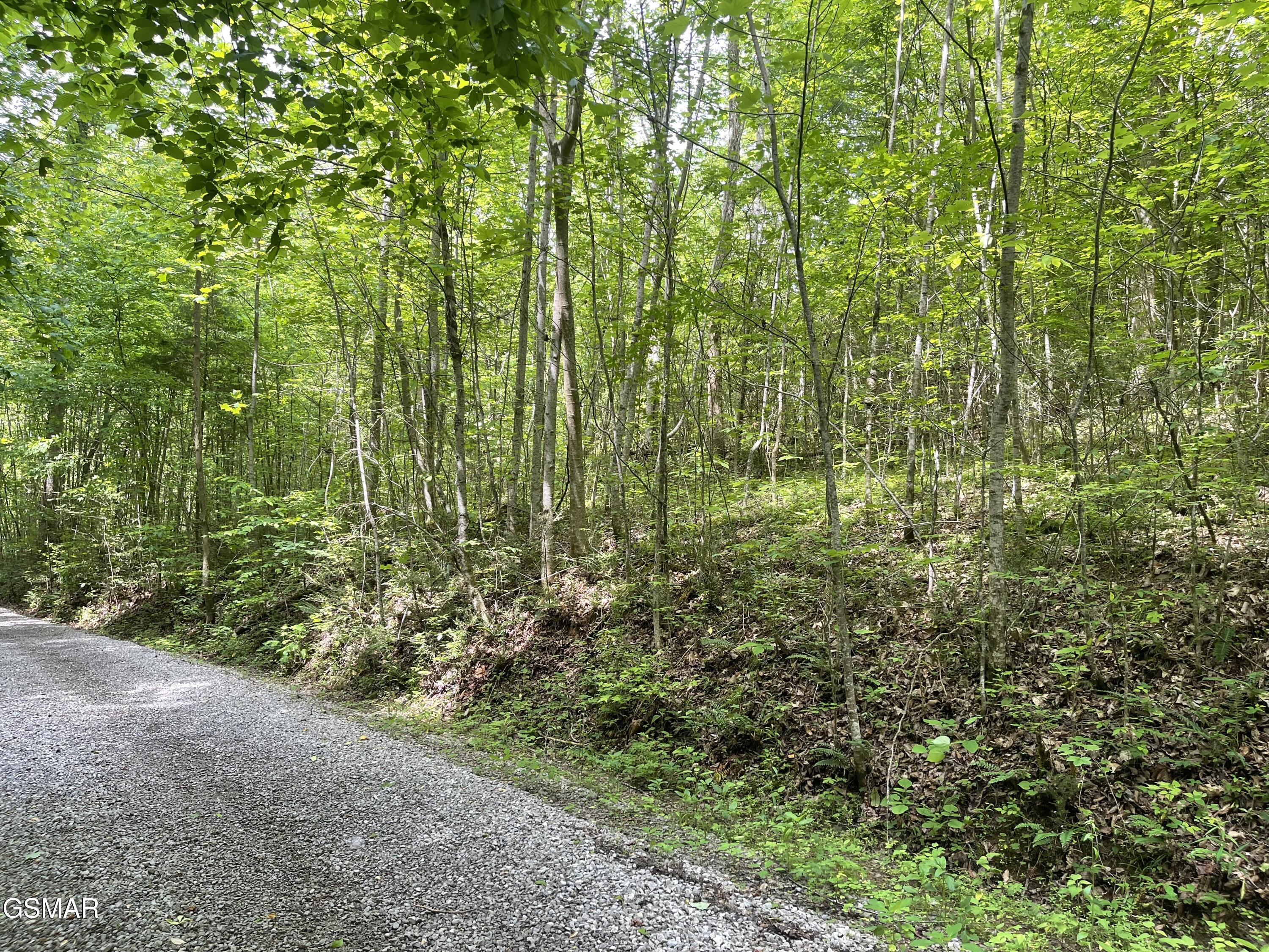 Lot 4 Walden Flats Way Sevierville TN 37862