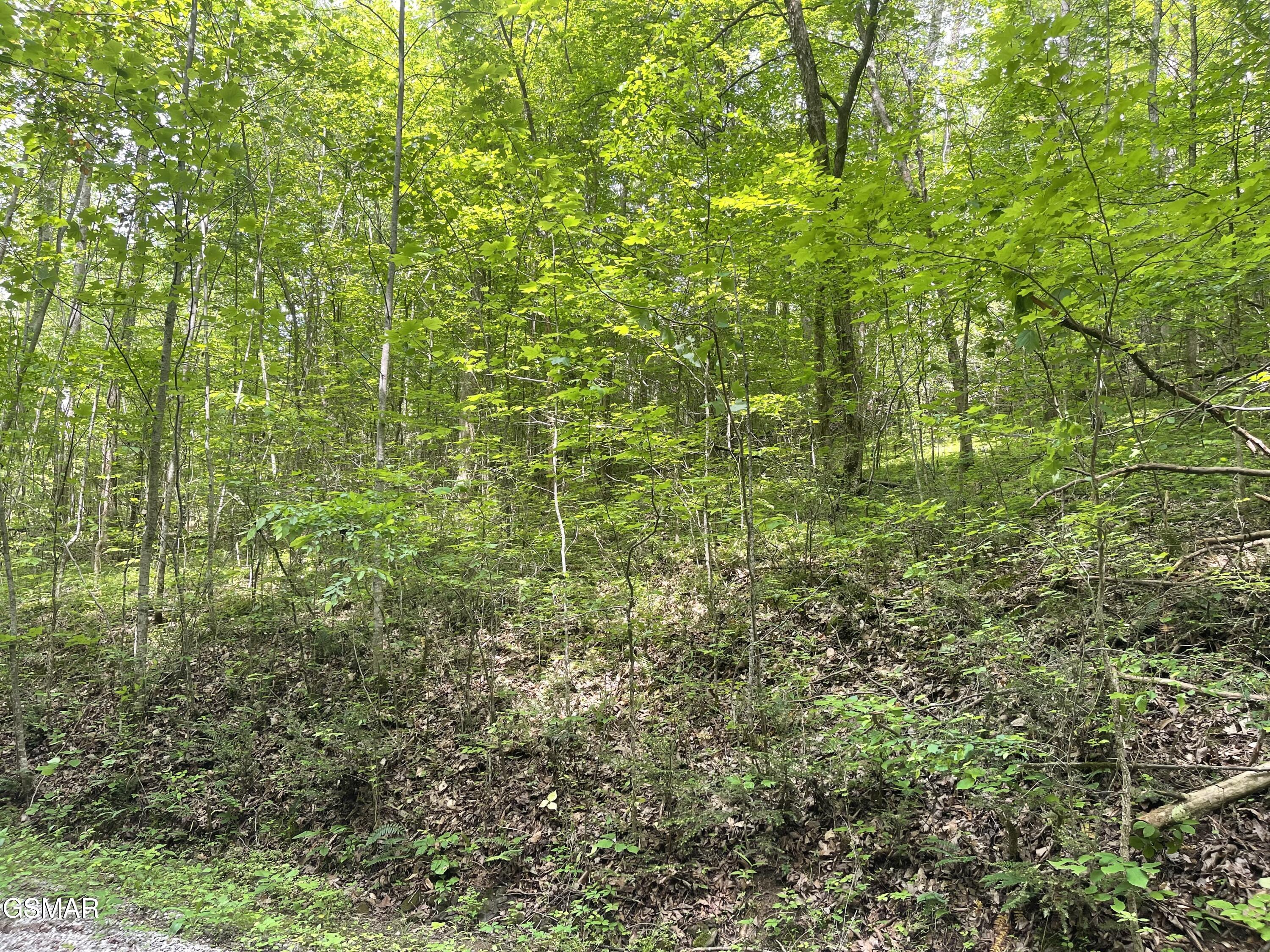 Lot 4 Walden Flats Way Sevierville TN 37862