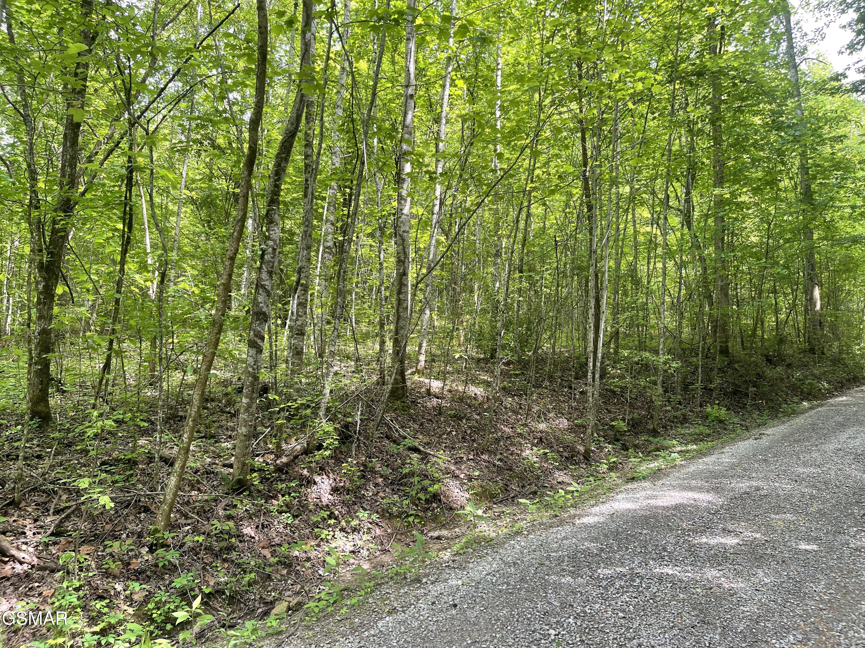 Lot 4 Walden Flats Way Sevierville TN 37862