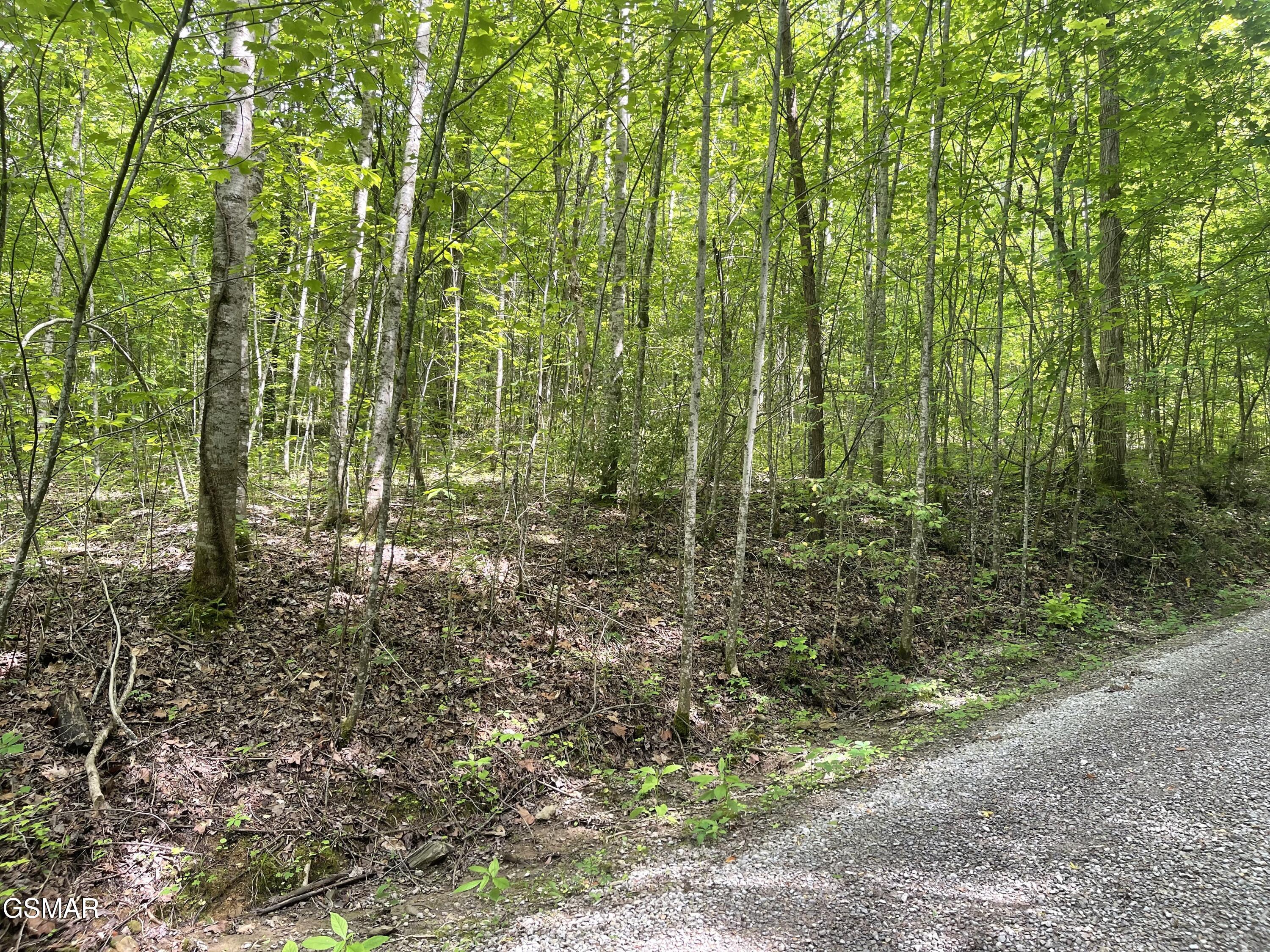 Lot 4 Walden Flats Way Sevierville TN 37862