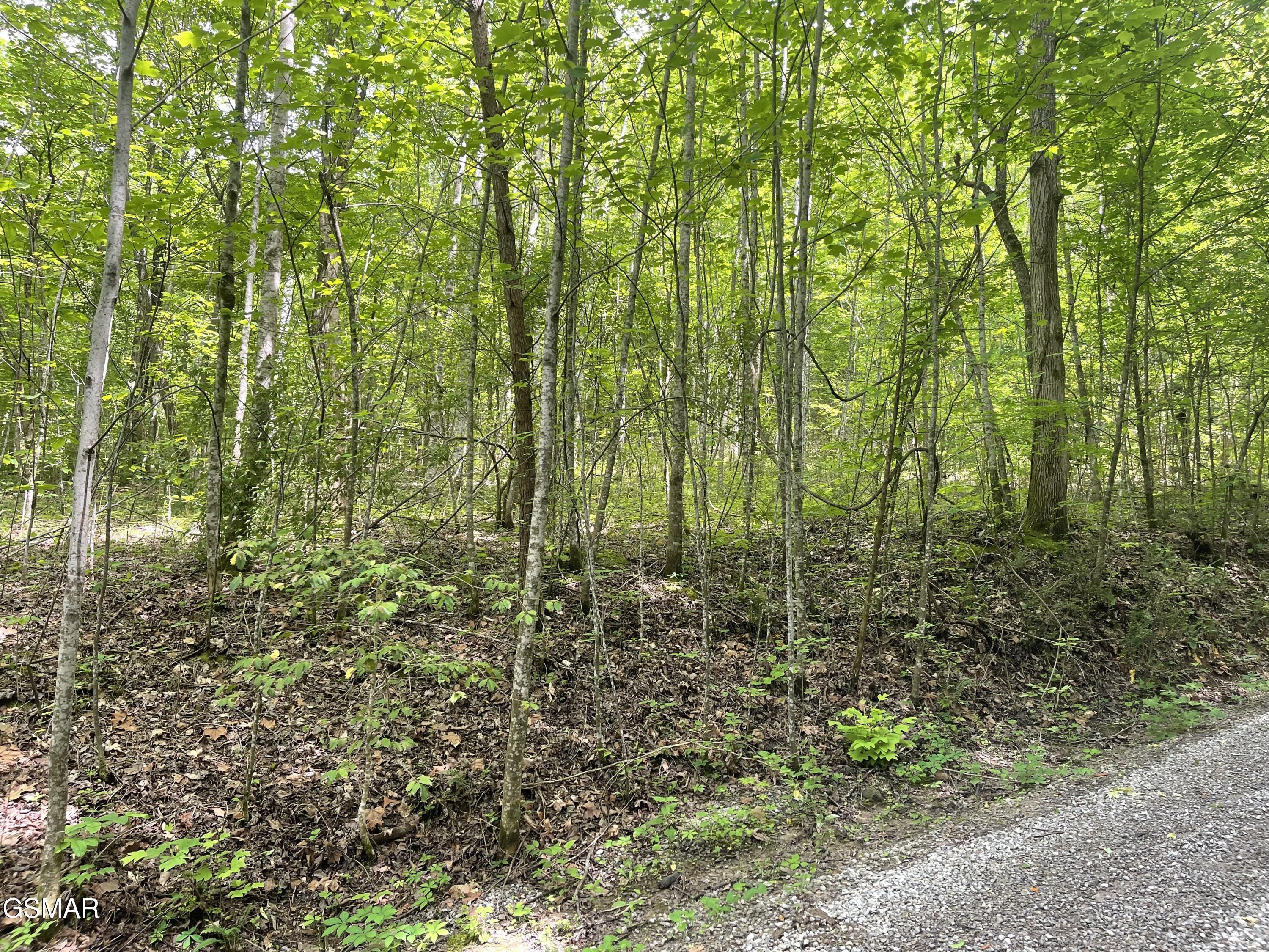 Lot 4 Walden Flats Way Sevierville TN 37862