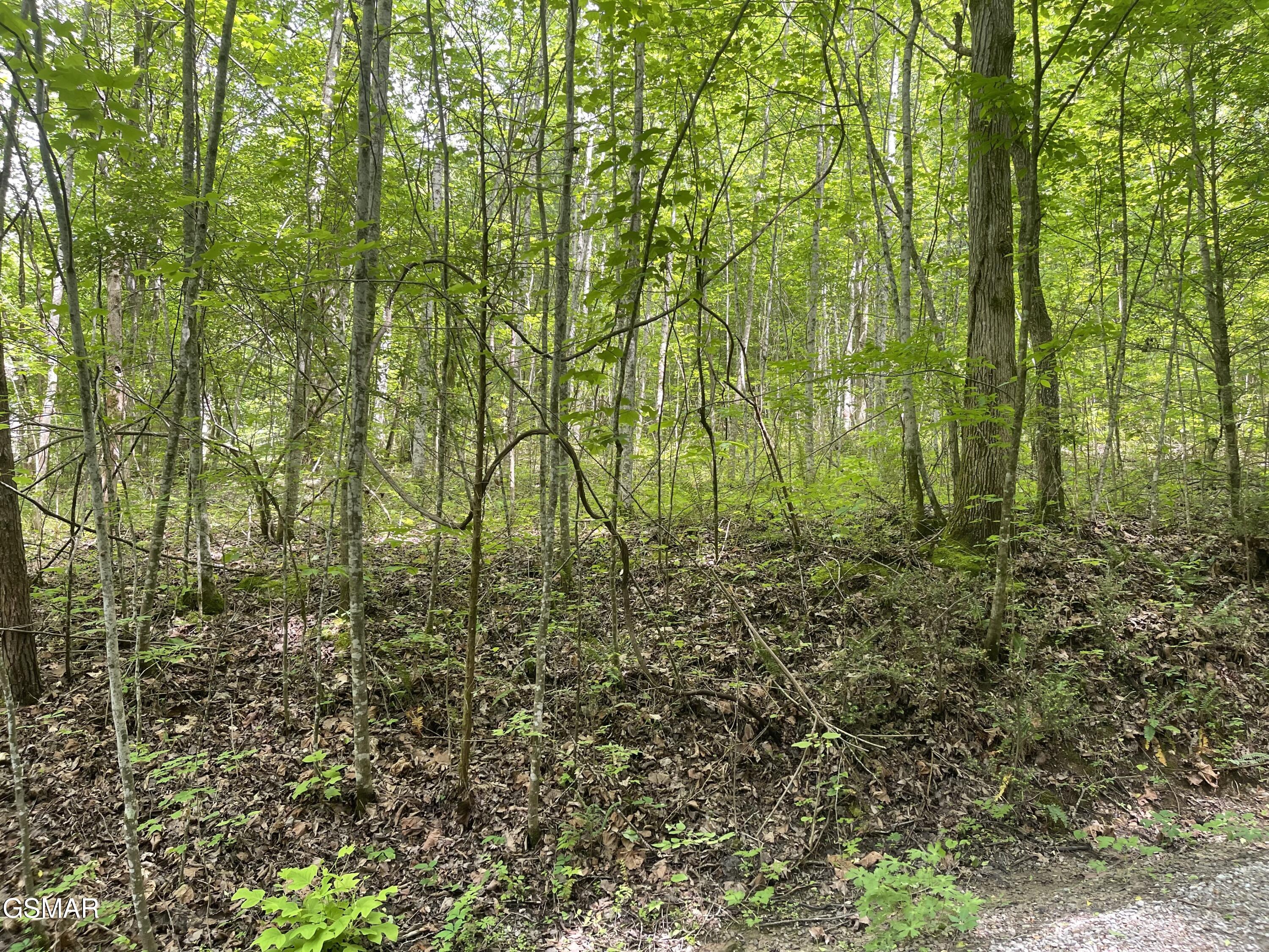 Lot 4 Walden Flats Way Sevierville TN 37862