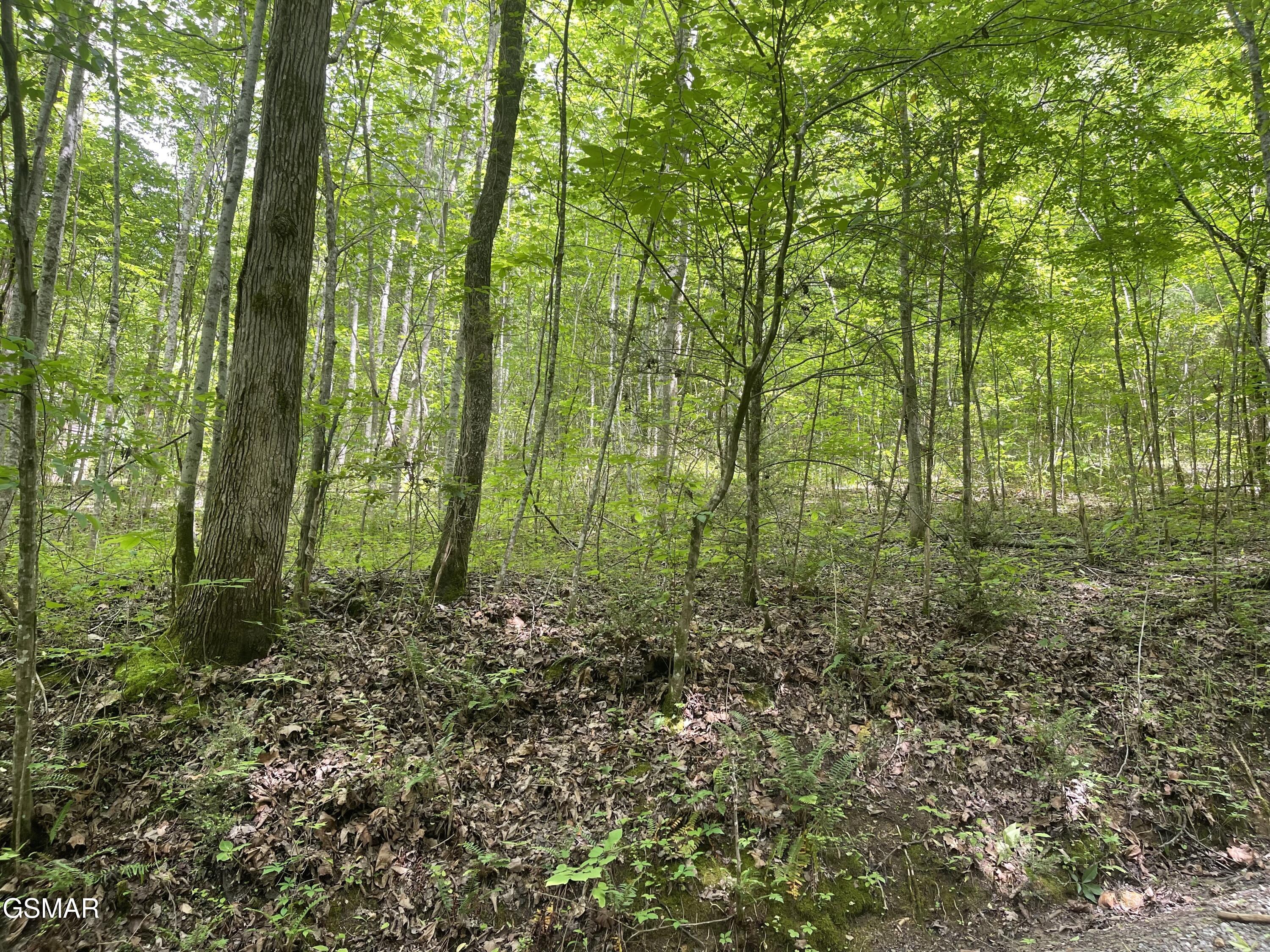 Lot 4 Walden Flats Way Sevierville TN 37862