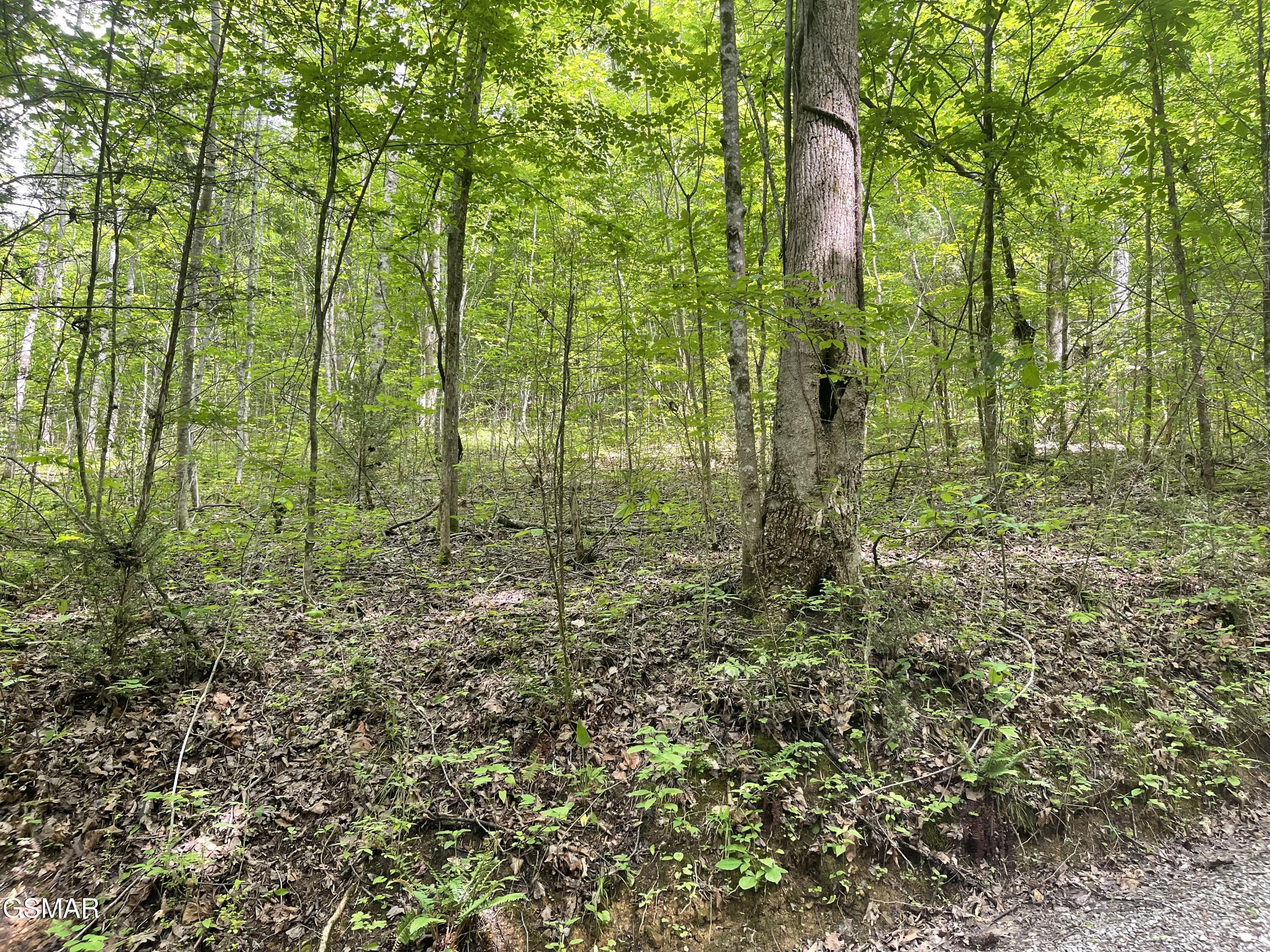 Lot 4 Walden Flats Way Sevierville TN 37862