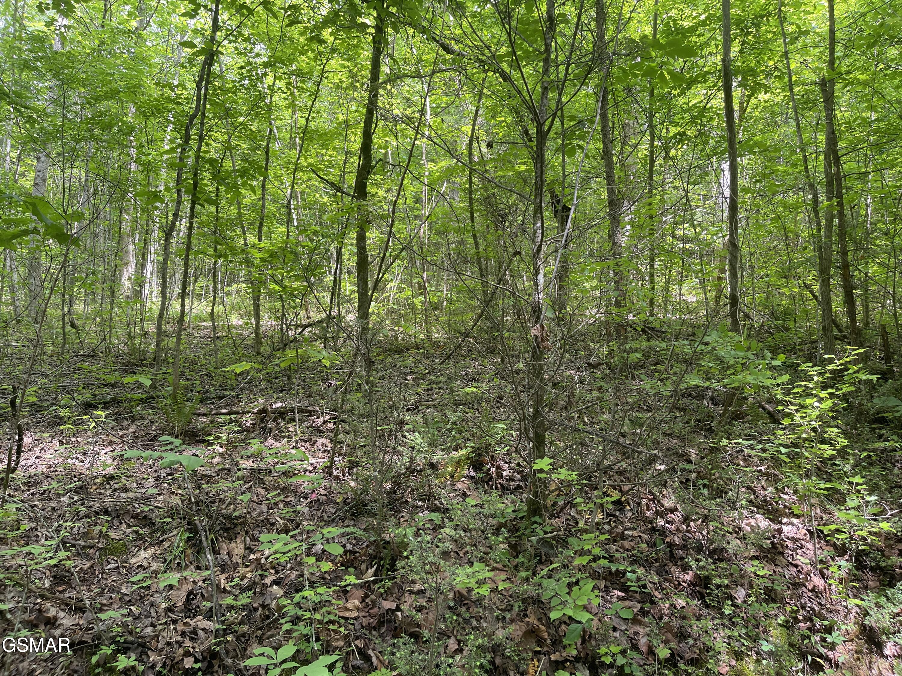 Lot 4 Walden Flats Way Sevierville TN 37862