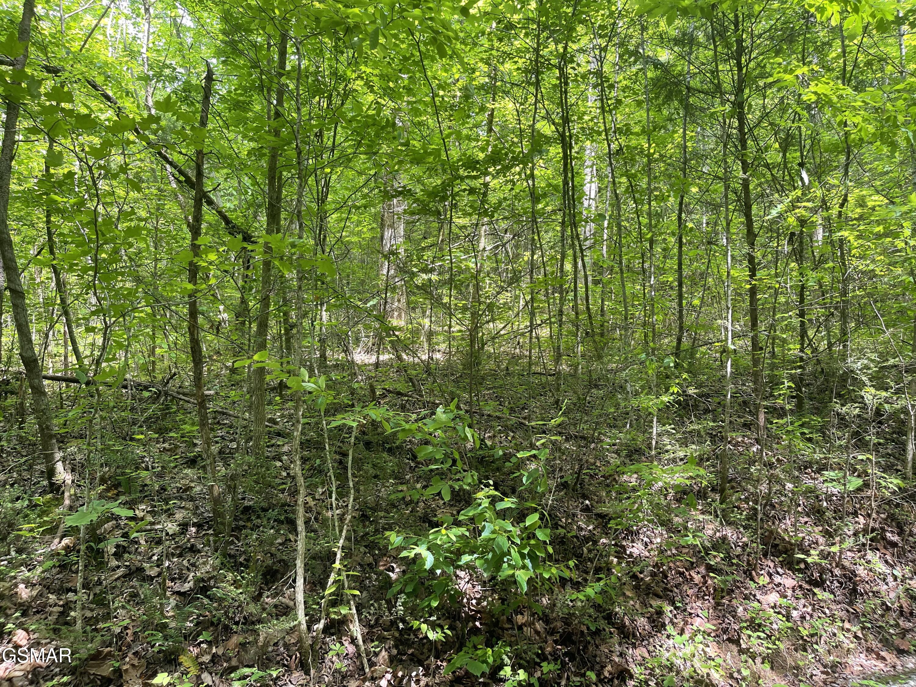 Lot 4 Walden Flats Way Sevierville TN 37862