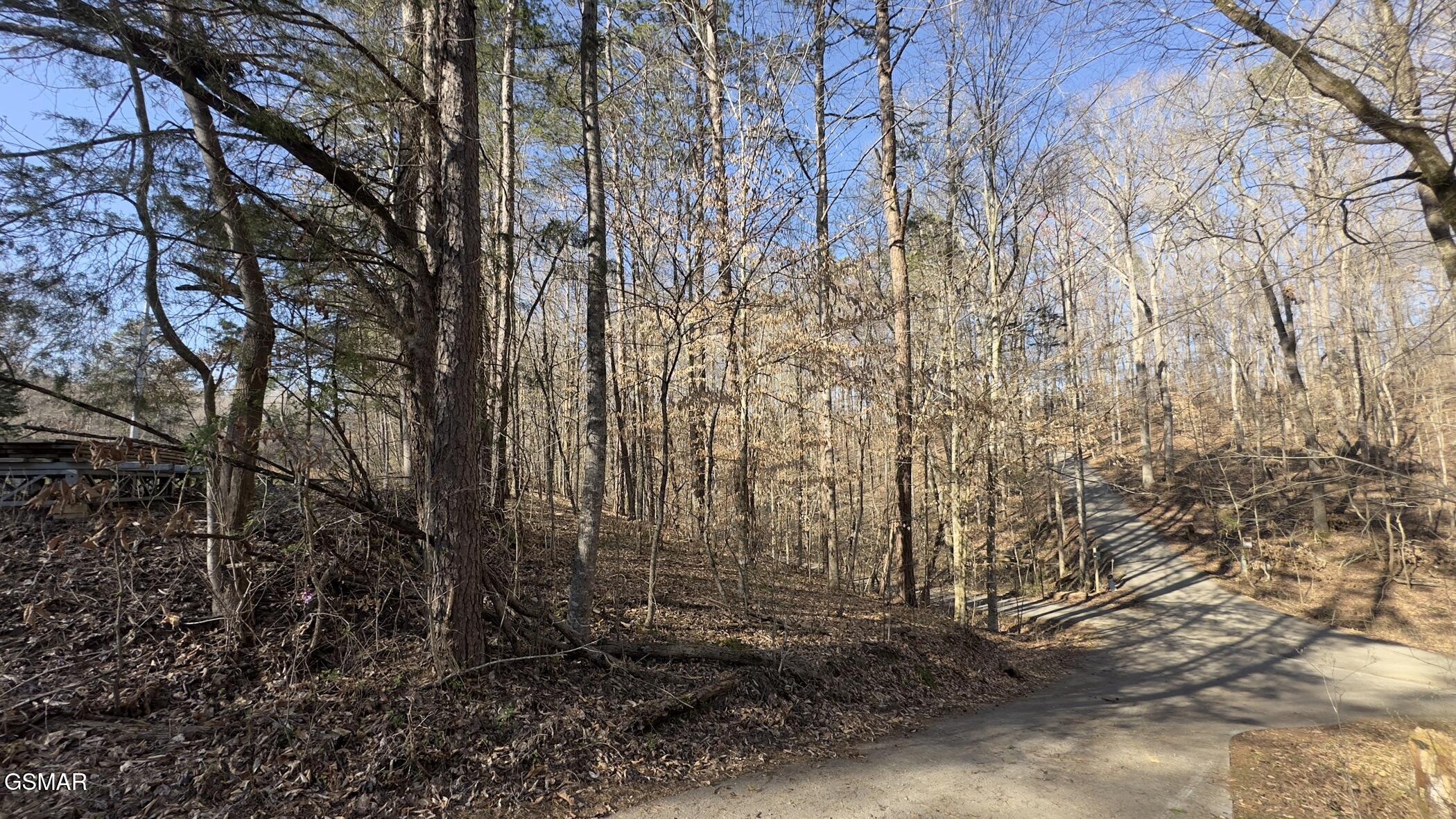 0 Rocky Top Road Lenoir City TN 37771
