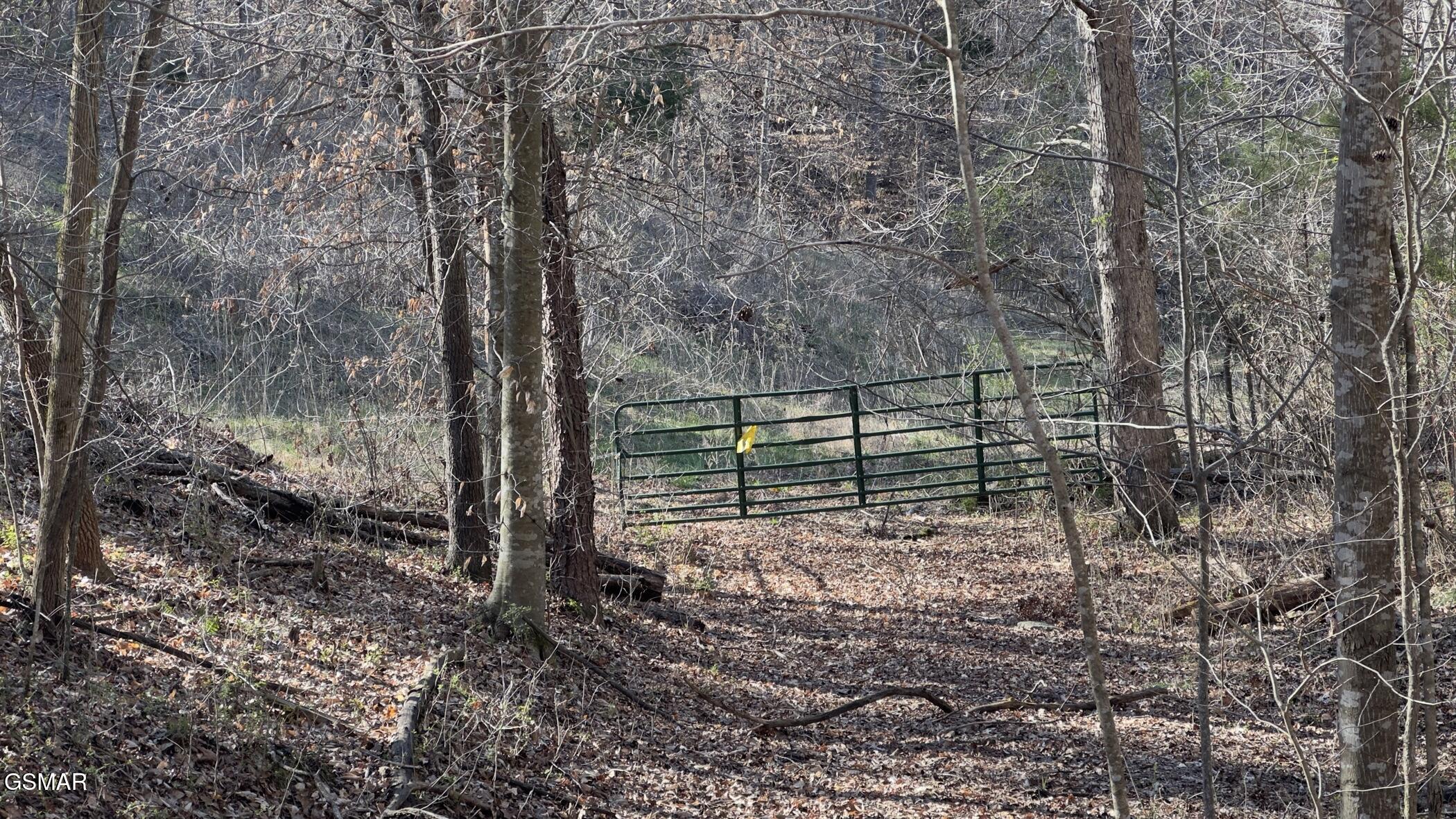 0 Rocky Top Road Lenoir City TN 37771