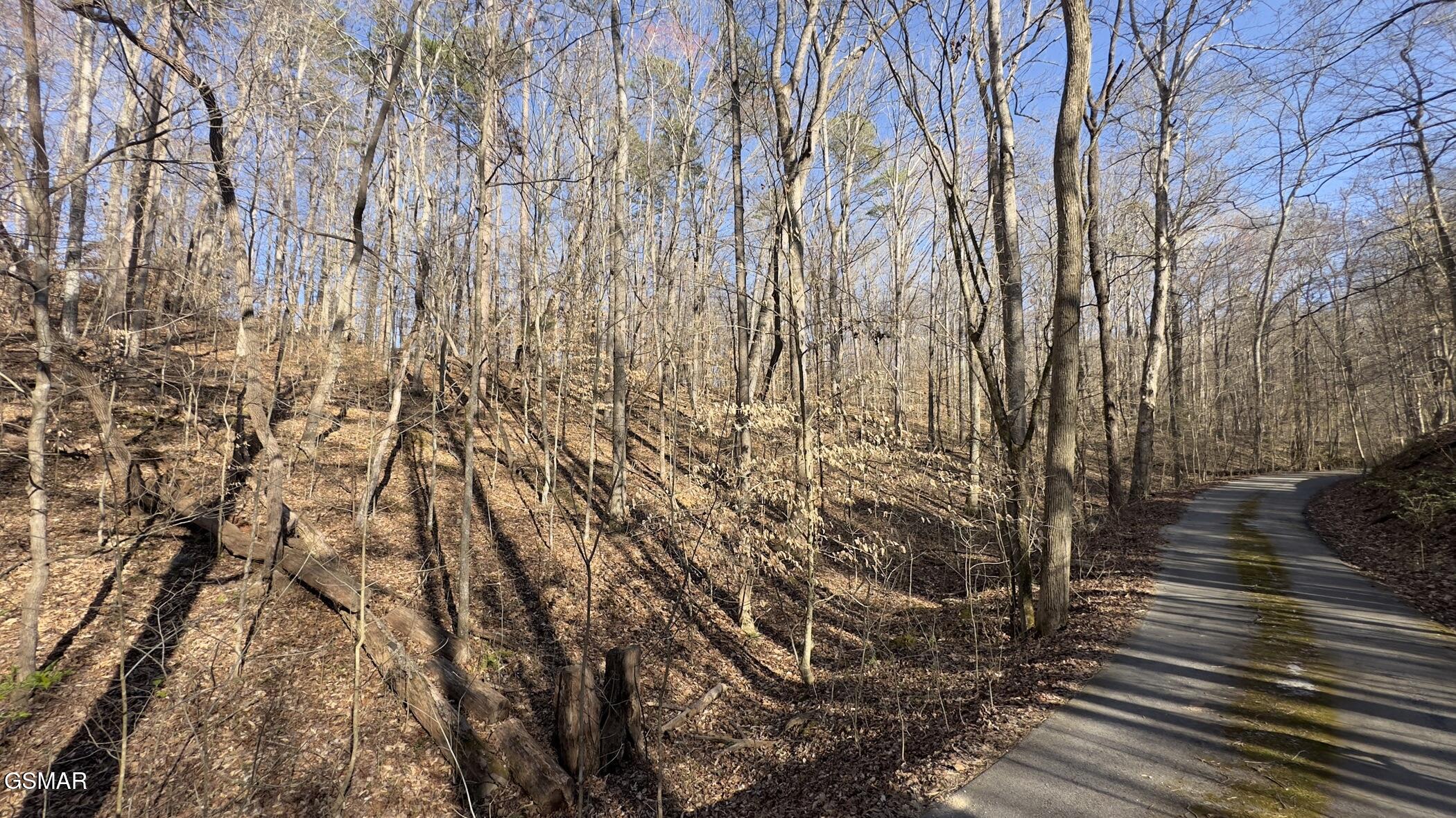 0 Rocky Top Road Lenoir City TN 37771