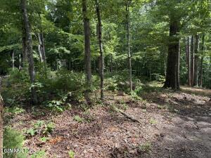 0 Rocky Top Road Lenoir City TN 37771