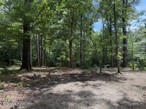 0 Rocky Top Road Lenoir City TN 37771
