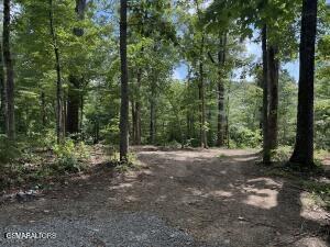 0 Rocky Top Road Lenoir City TN 37771