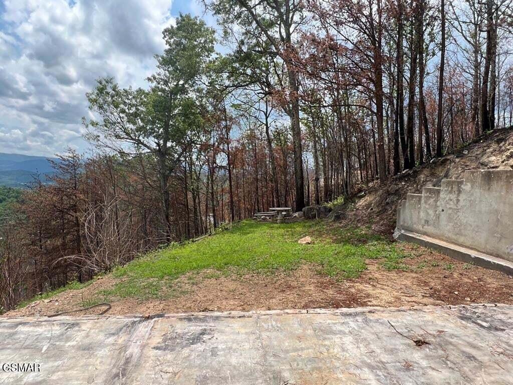 2518 Hatcher Mtn Road Sevierville TN 37862