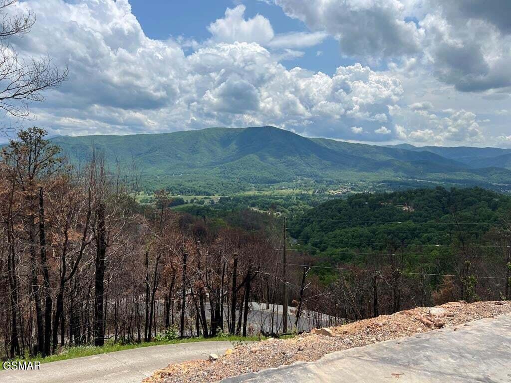 2518 Hatcher Mtn Road Sevierville TN 37862