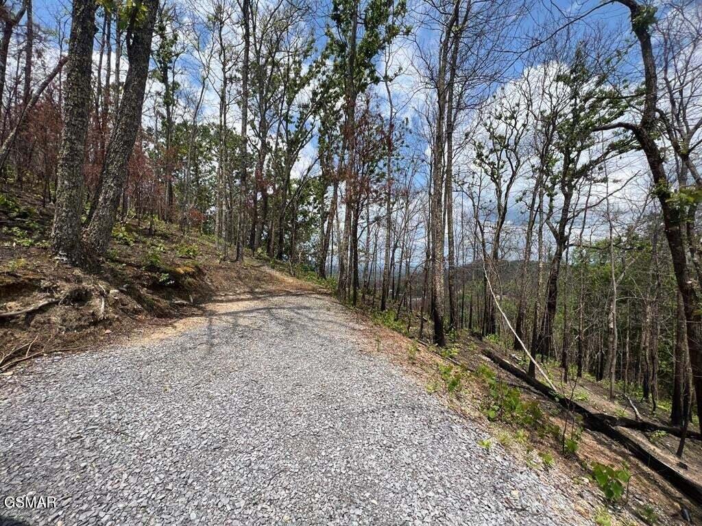 2518 Hatcher Mtn Road Sevierville TN 37862