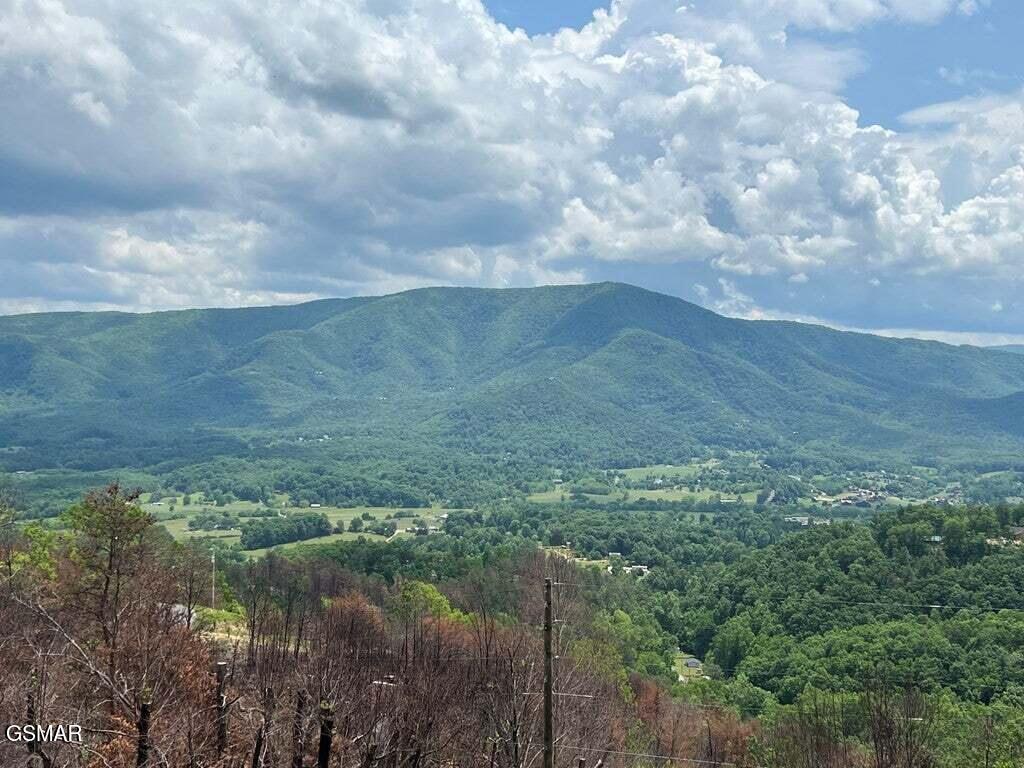 2518 Hatcher Mtn Road Sevierville TN 37862