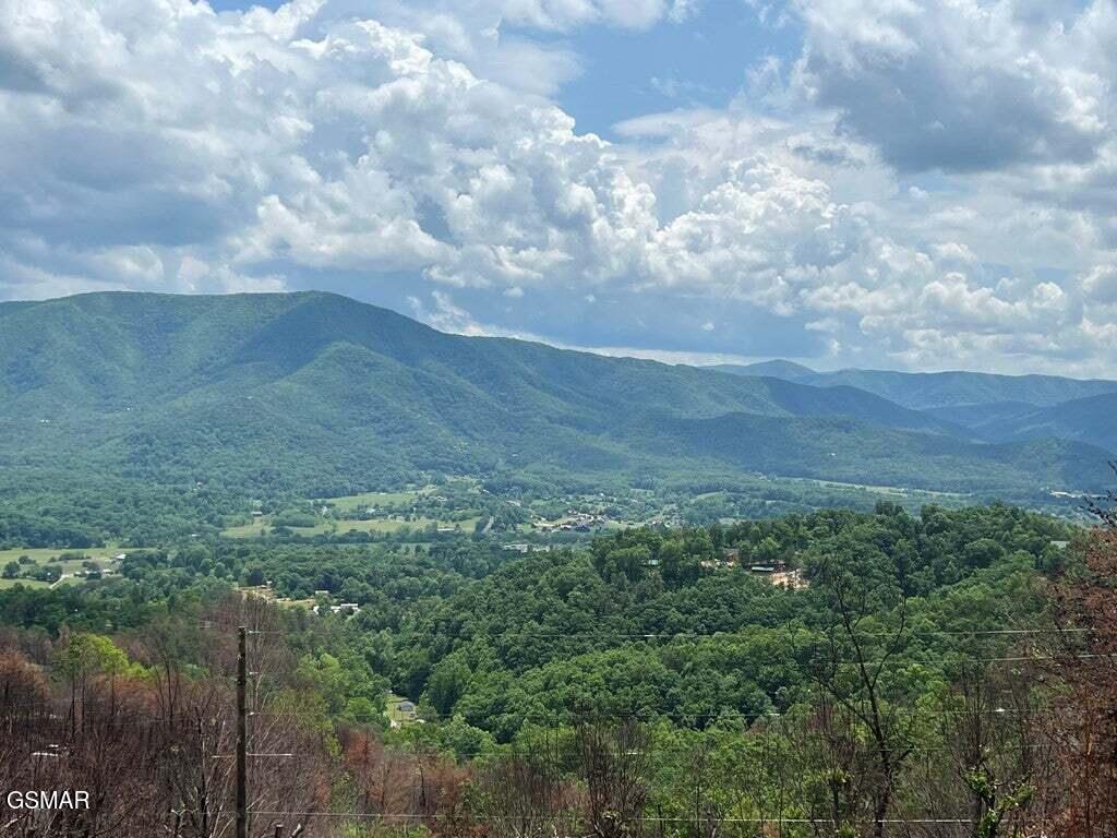 2518 Hatcher Mtn Road Sevierville TN 37862