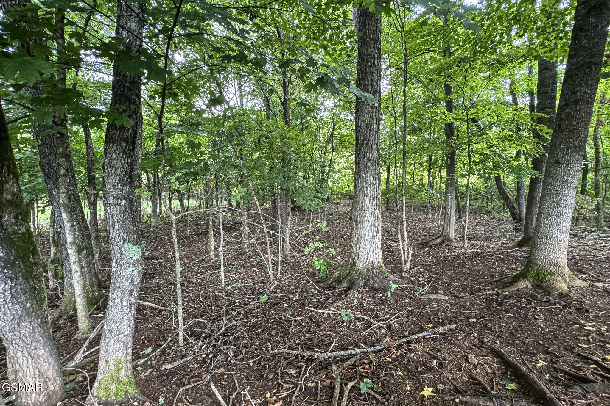 3435 Valley View Sevierville TN 37862