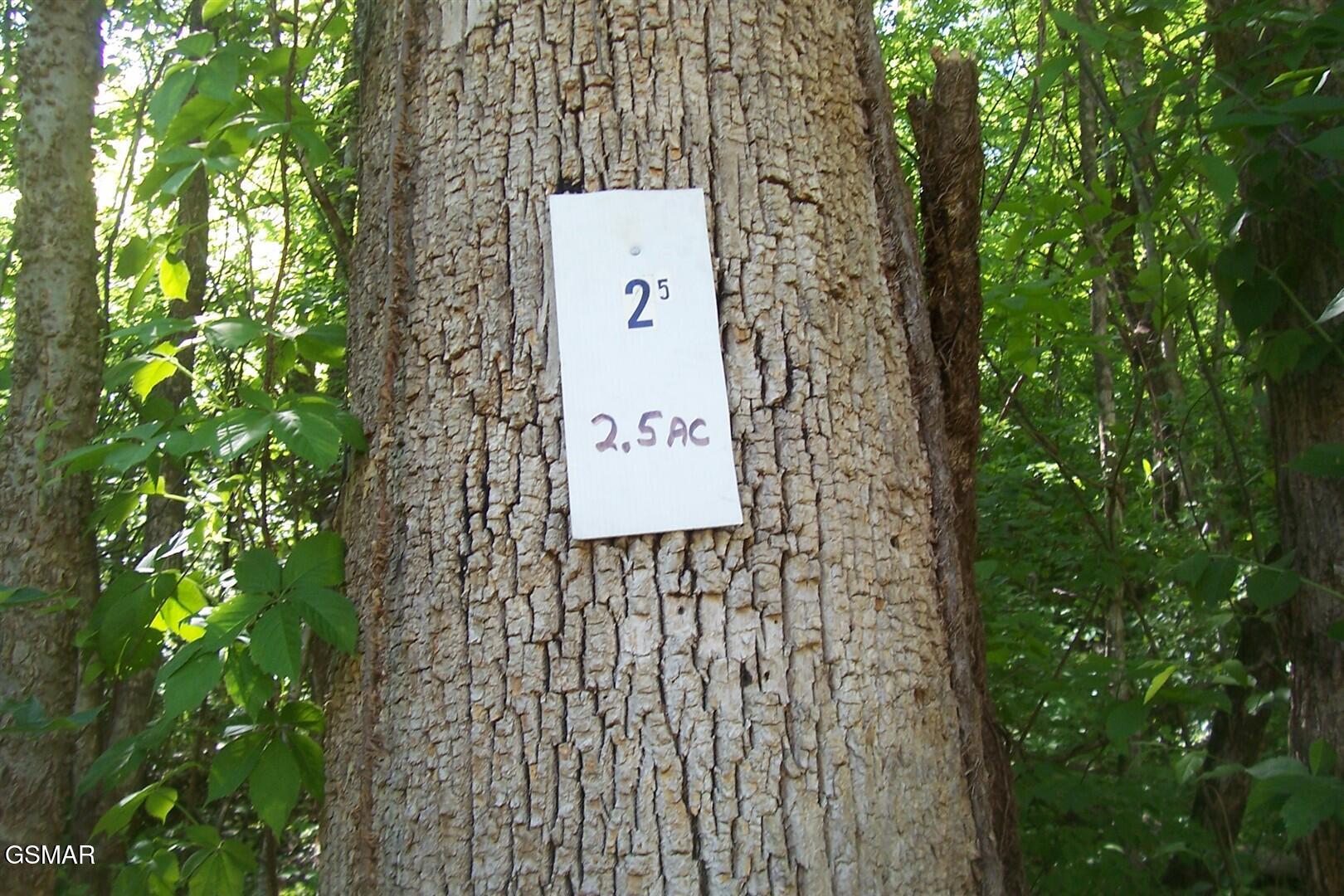 Lot 25 Splendor Way Parrottsville TN 37843