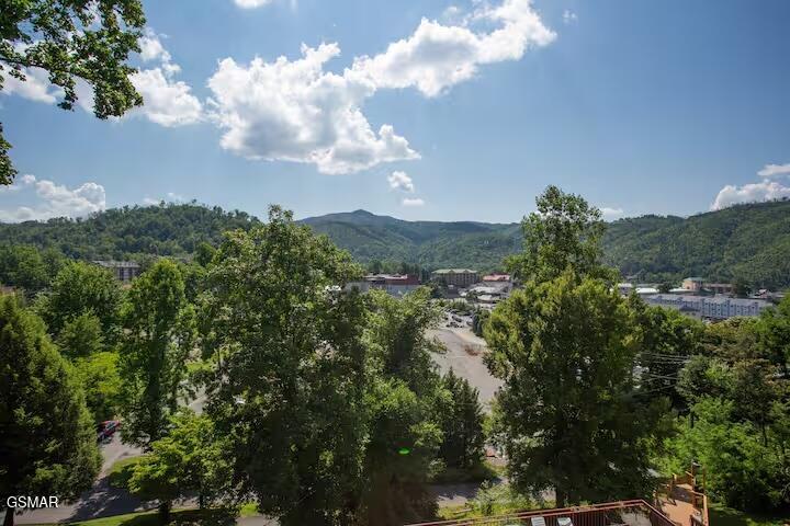 354 E Holly Ridge Road Gatlinburg TN 37738