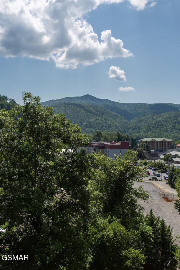 354 E Holly Ridge Road Gatlinburg TN 37738