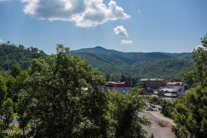 354 E Holly Ridge Road Gatlinburg TN 37738