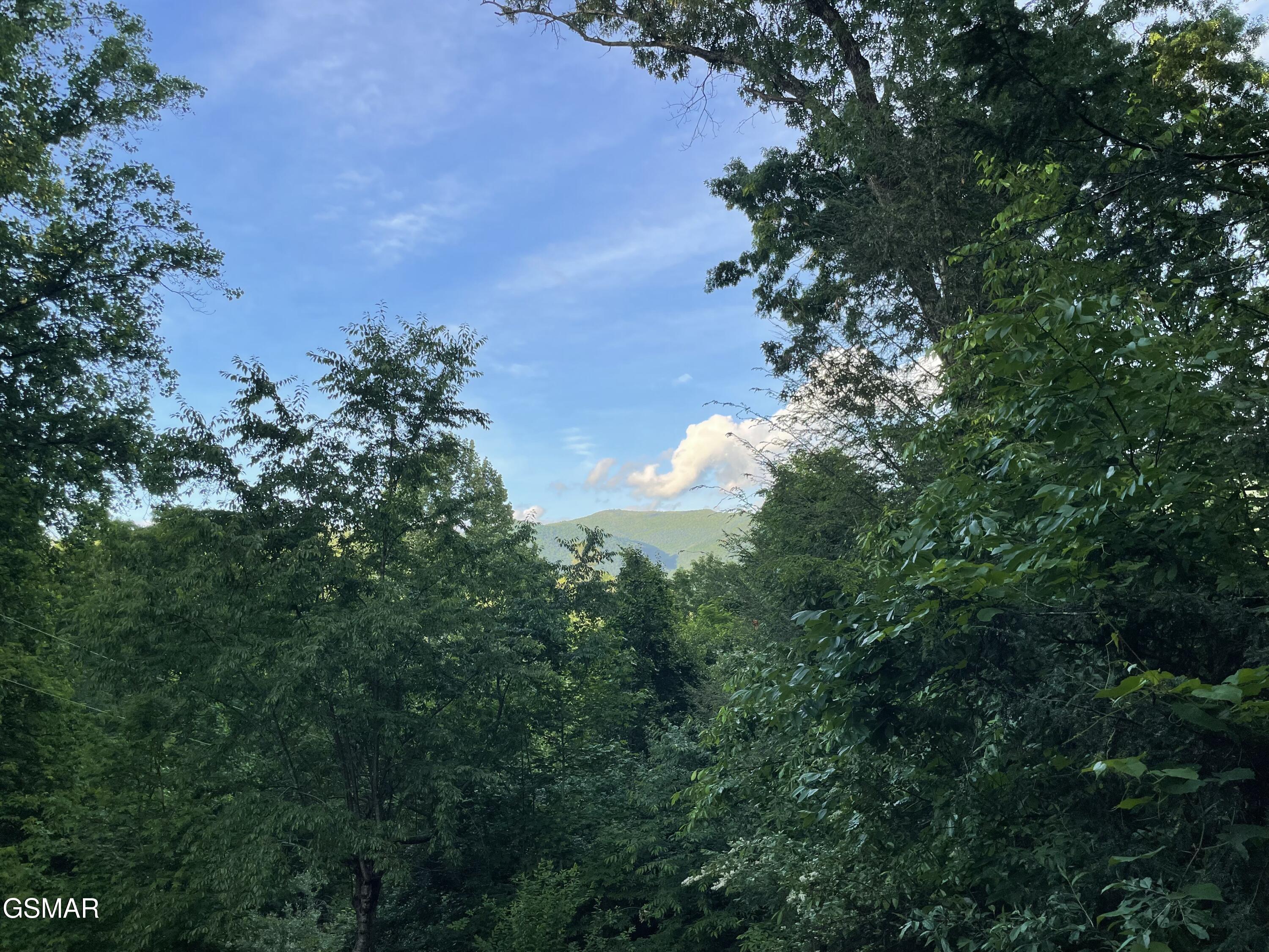 271 Majestic View Way Cosby TN 37722