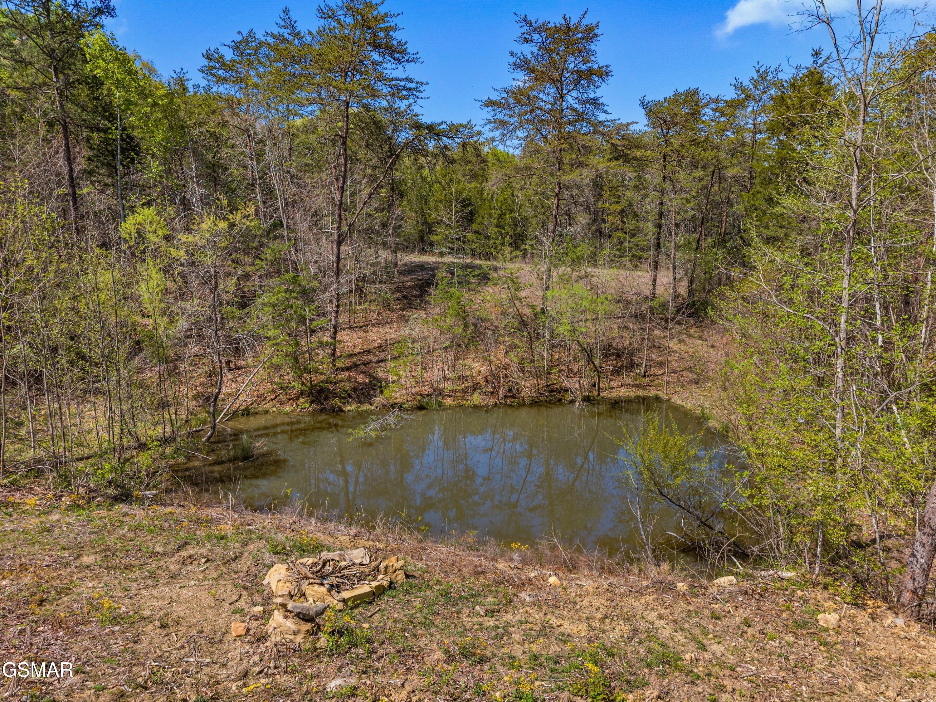 126 Deer Run Way Dandridge TN 37725