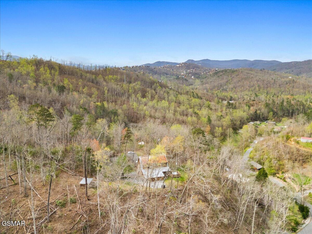 302 Beech Branch Road Gatlinburg TN 37738