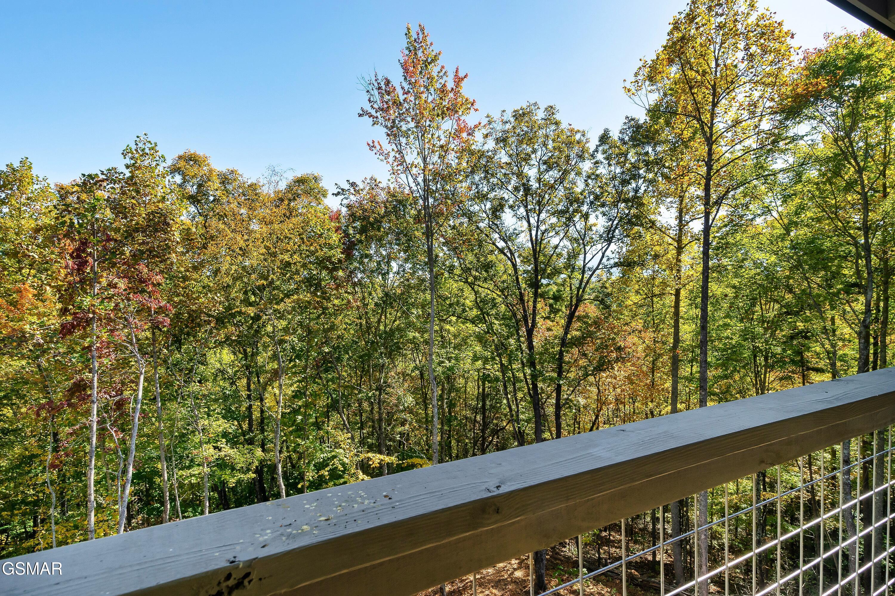 2614 Grassy Branch Loop Sevierville TN 37876
