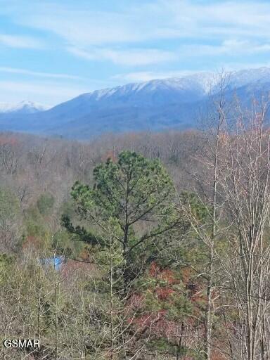 2614 Grassy Branch Loop Sevierville TN 37876