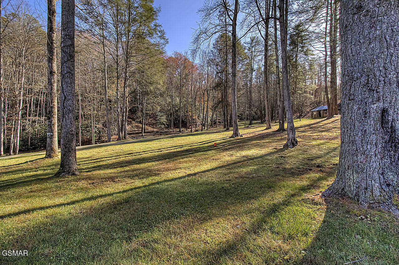 2050 E Millers Cove Road Walland TN 37886