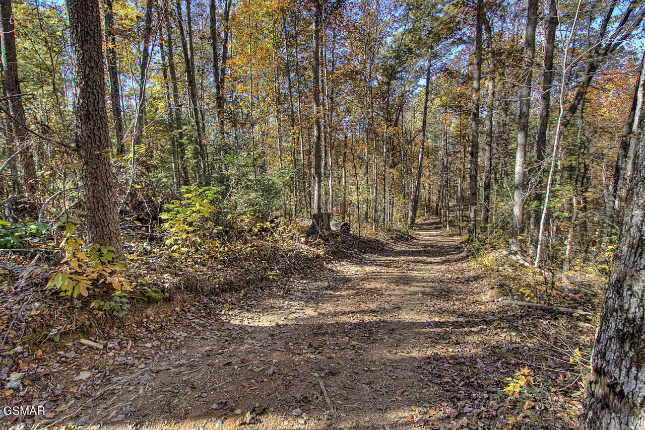 2050 E Millers Cove Road Walland TN 37886