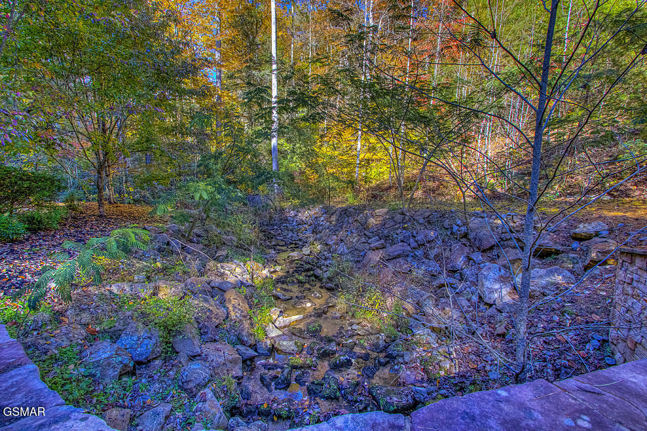 2050 E Millers Cove Road Walland TN 37886