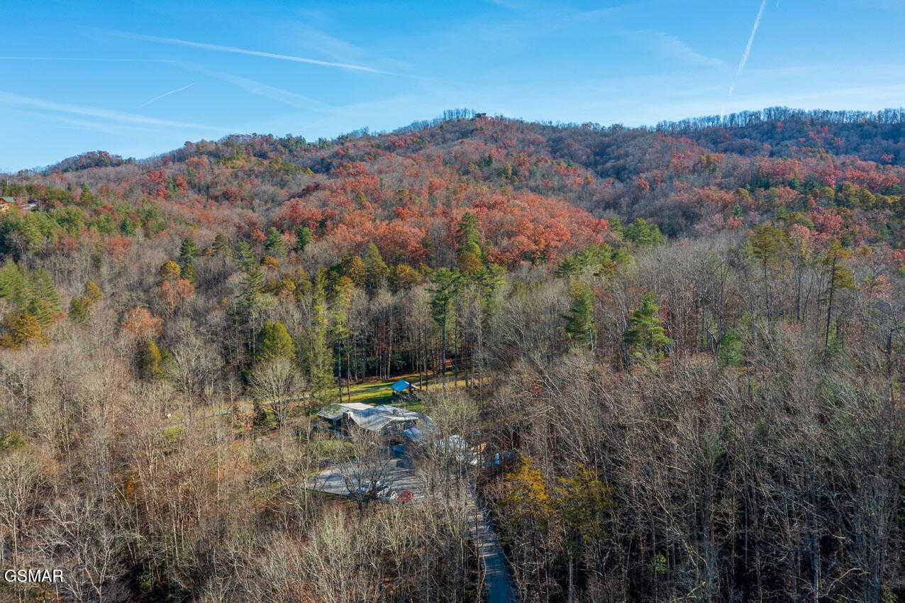 2050 E Millers Cove Road Walland TN 37886