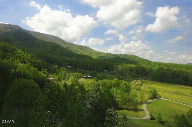 3746 Swearingen Way Sevierville TN 37862