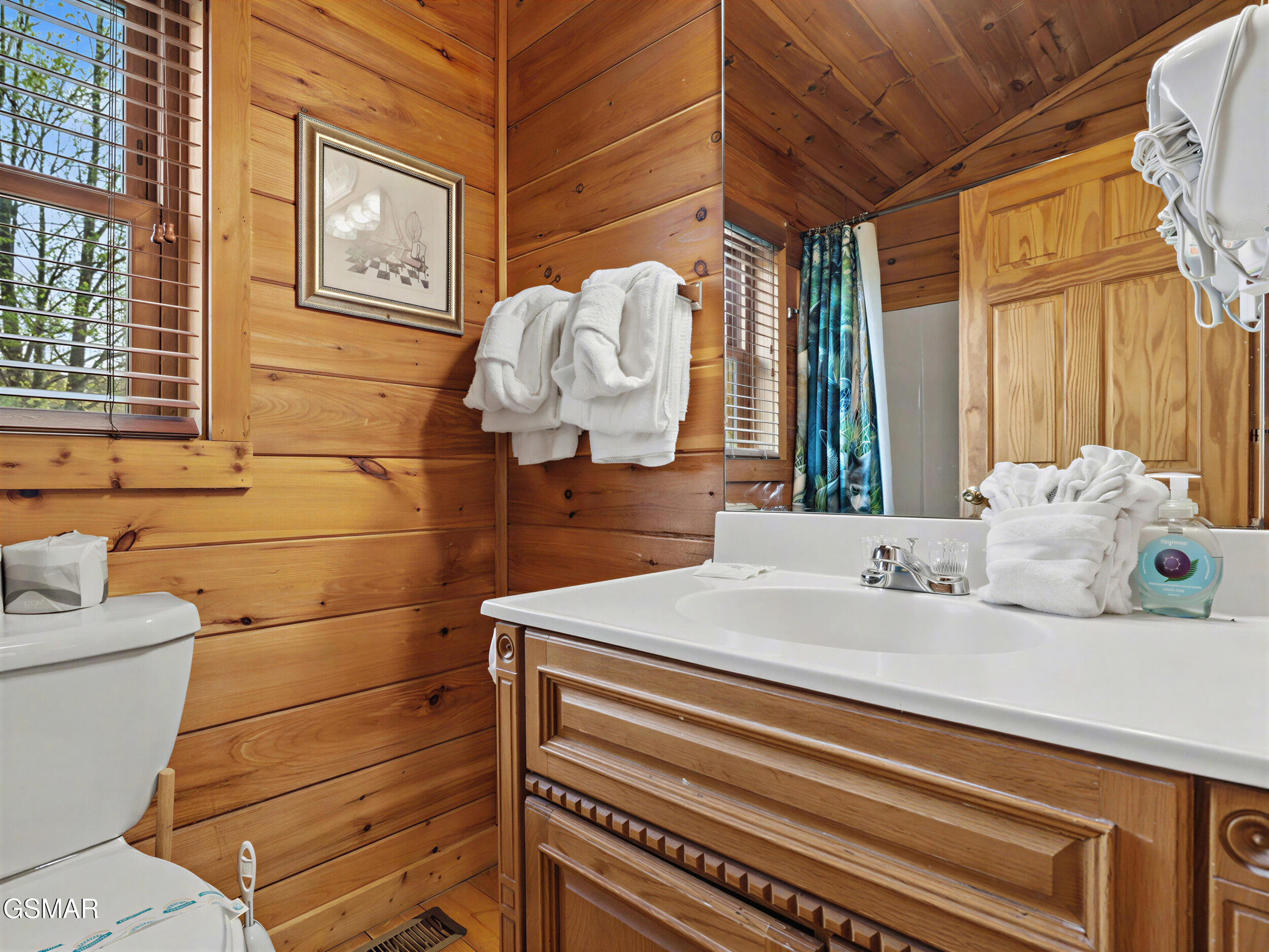 1984 E Mountain View Way Sevierville TN 37862