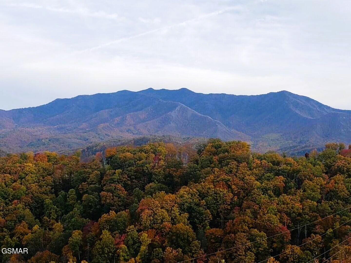 862 Sourwood Drive Gatlinburg TN 37738