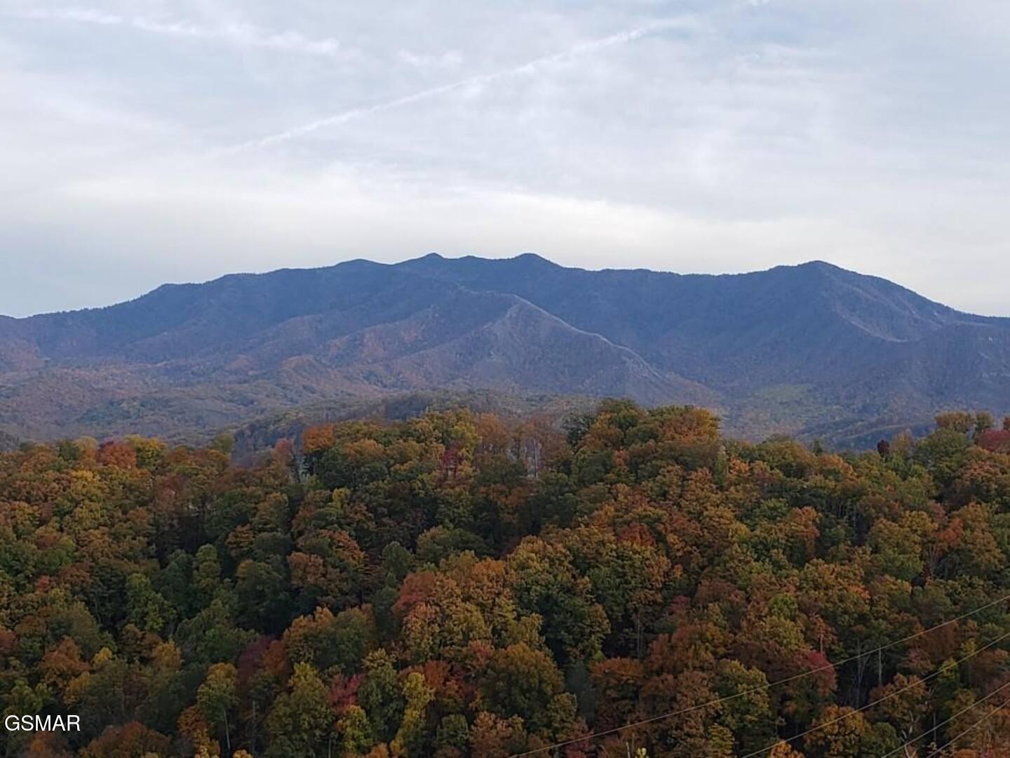 862 Sourwood Drive Gatlinburg TN 37738