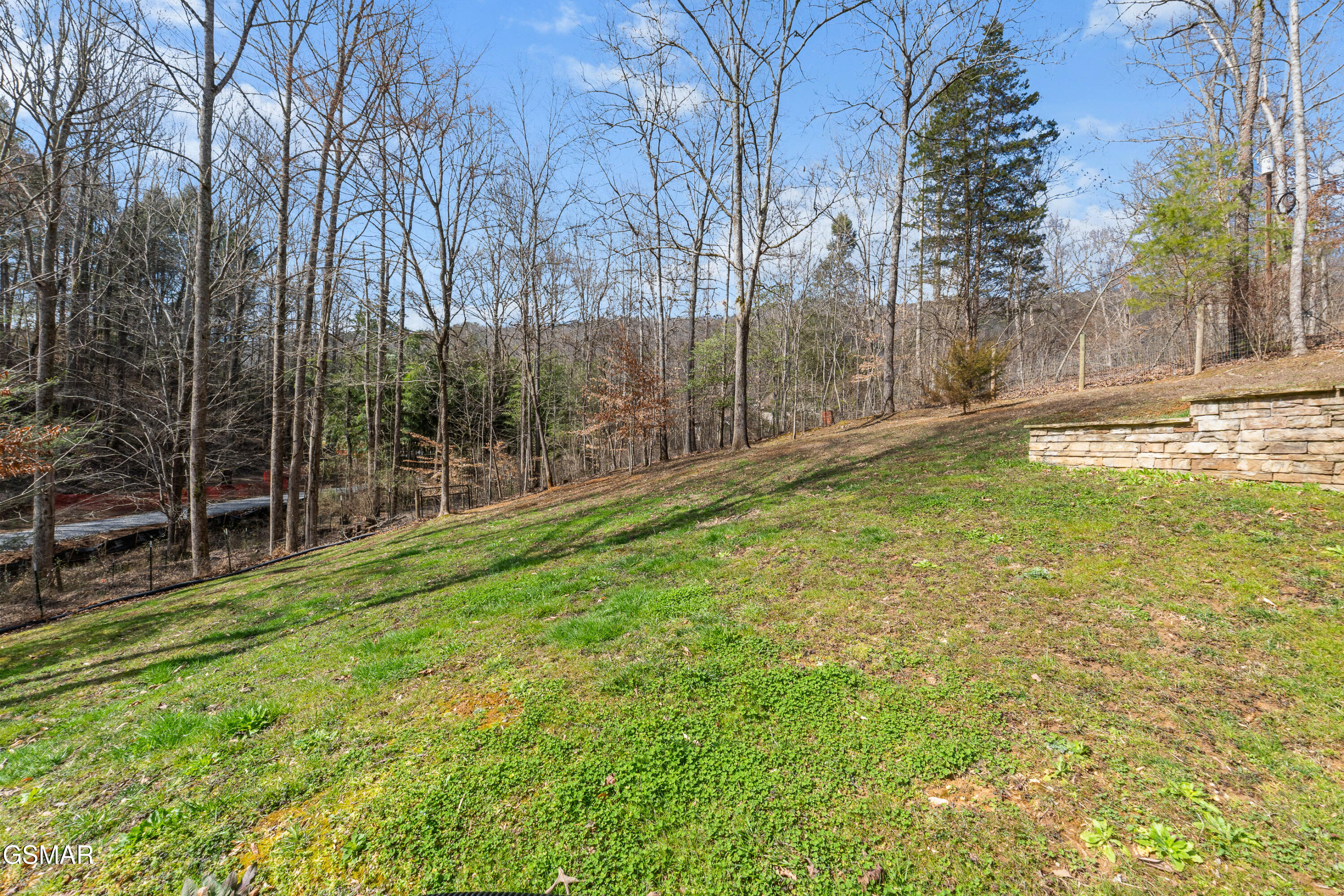 151 Flynn Road Walland TN 37886