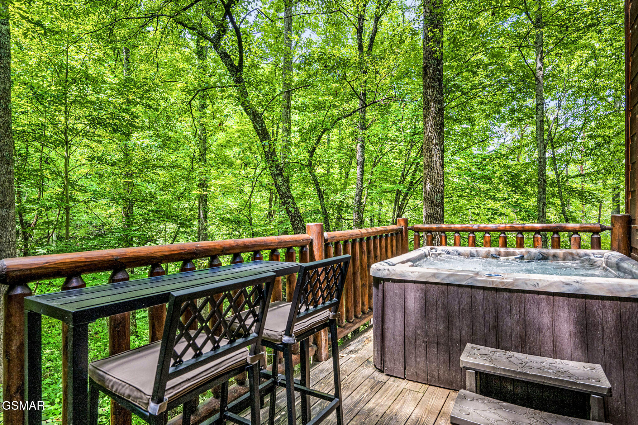 1420 Silver Poplar Lane Sevierville TN 37876