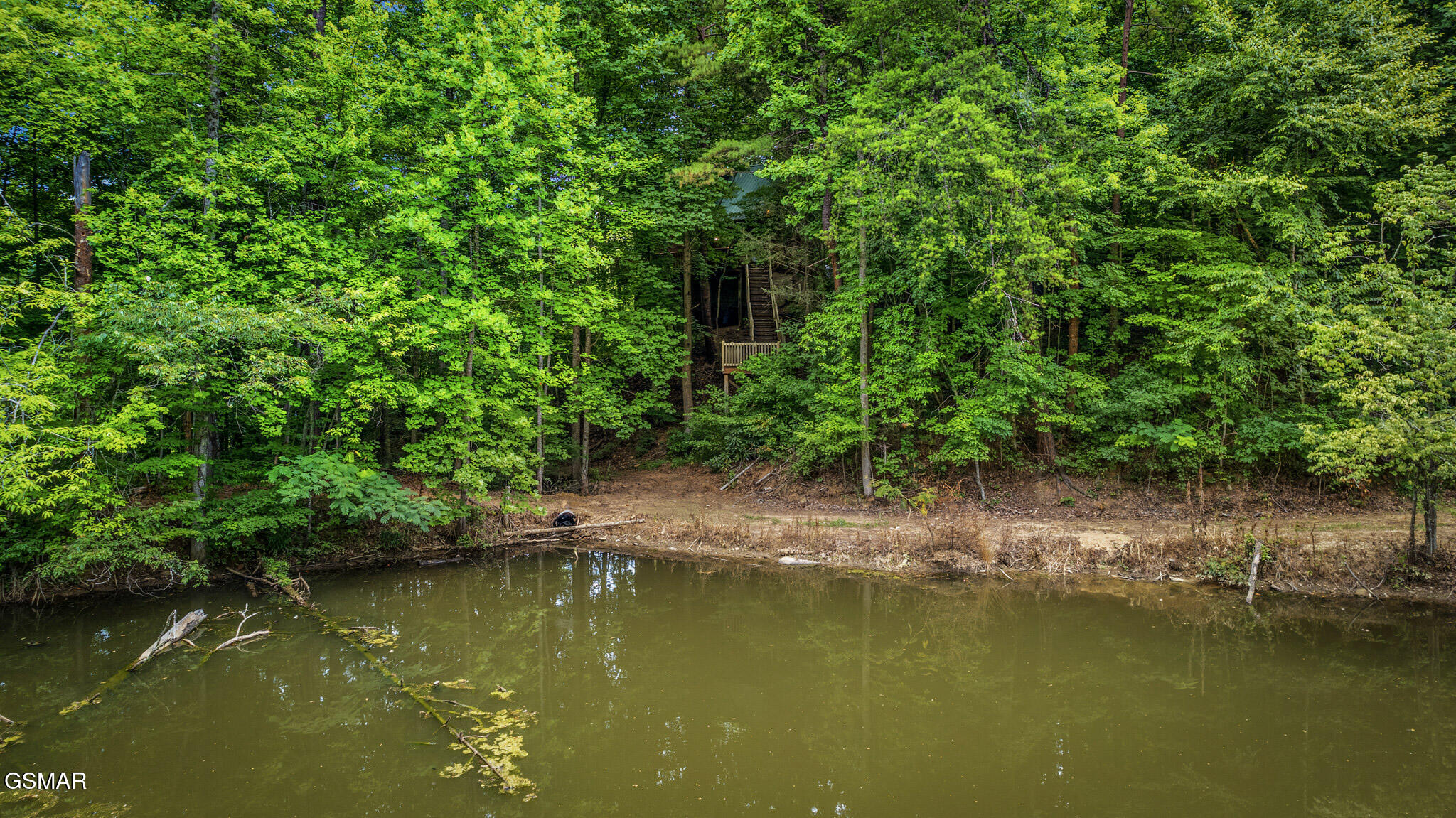 1420 Silver Poplar Lane Sevierville TN 37876