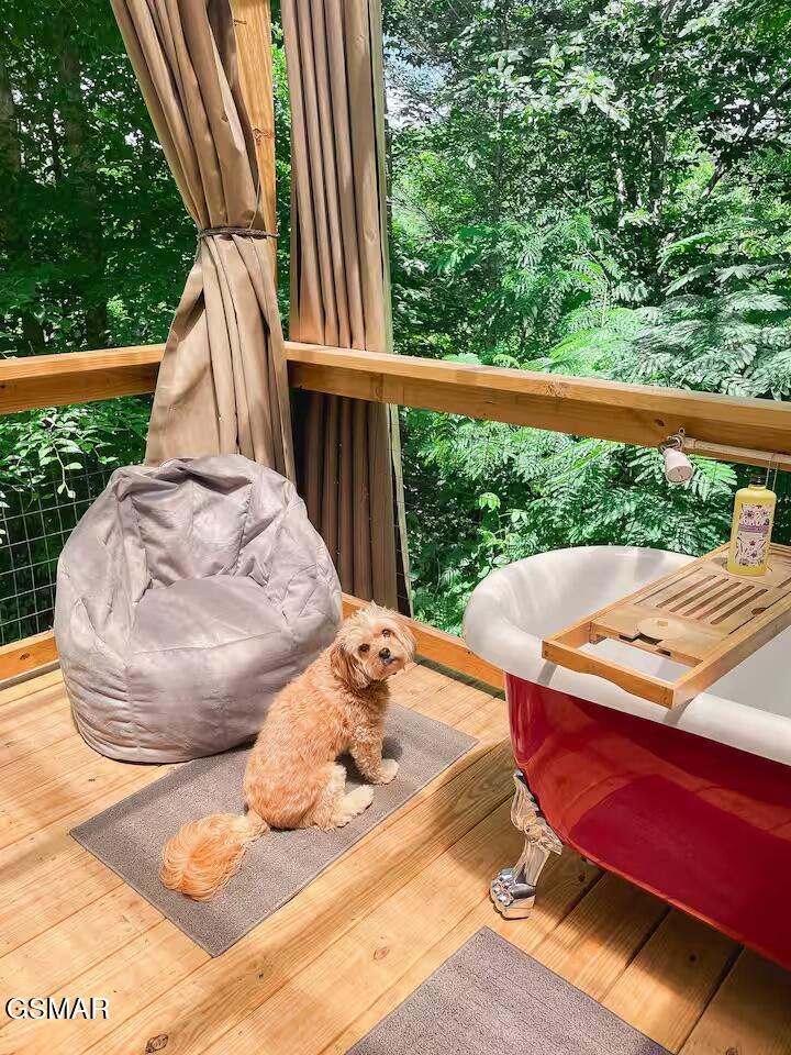 122 Quail Roost Drive Cosby TN 37722