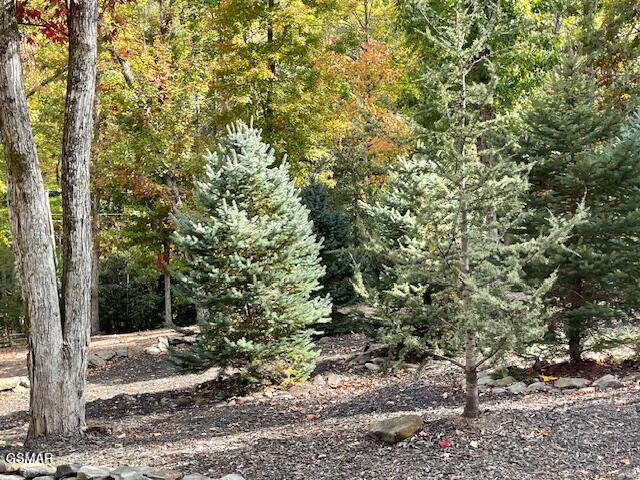 3950 Forest Trail Drive Sevierville TN 37876