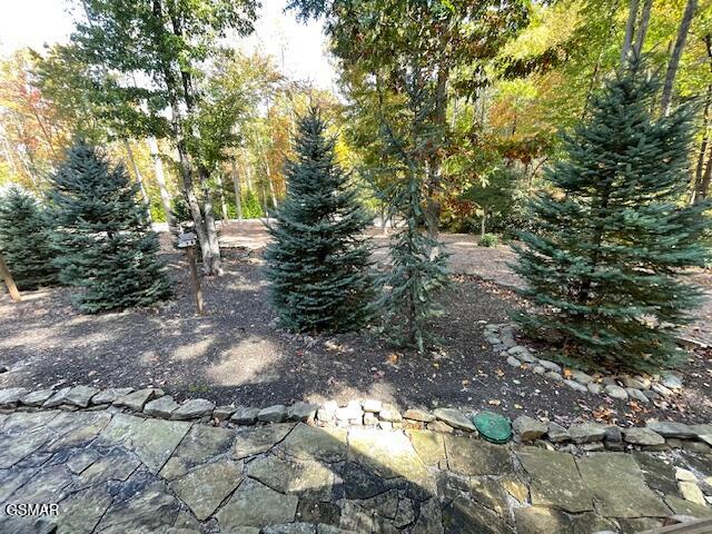 3950 Forest Trail Drive Sevierville TN 37876