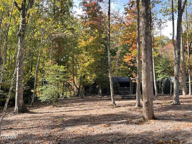 3950 Forest Trail Drive Sevierville TN 37876